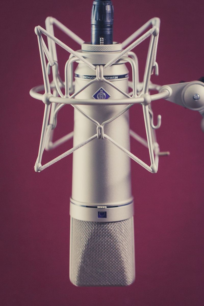 Neumann U87 microphone in its shock mount